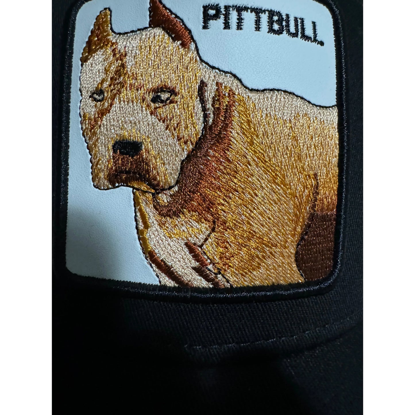 Goorin Bros Pitbull